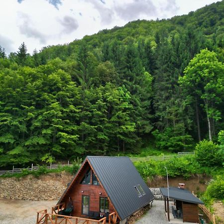 Wild Cabin Malaia Zewnętrze zdjęcie