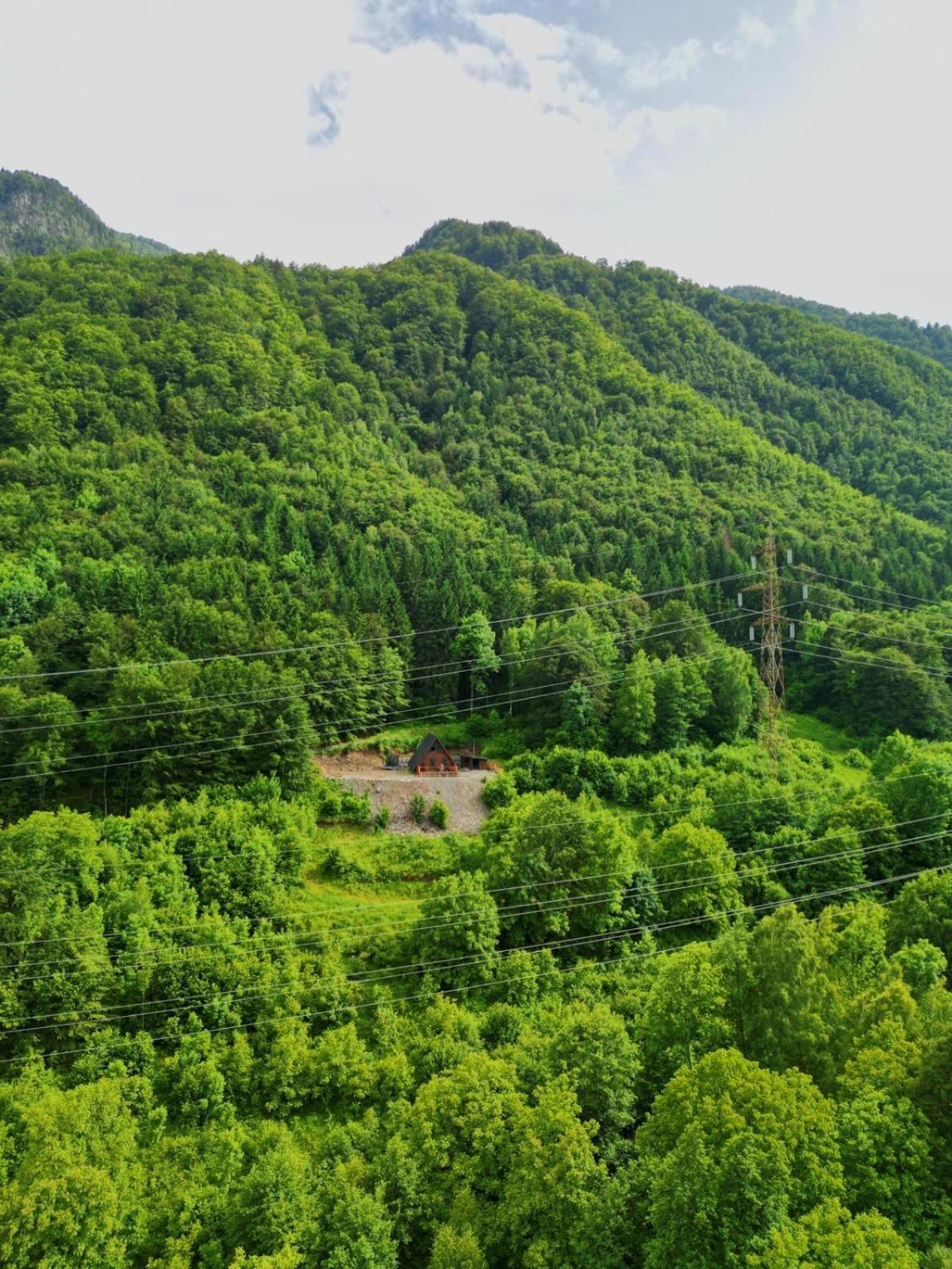 Wild Cabin Malaia Zewnętrze zdjęcie